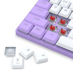 Redragon BS 8773 LI Wireless Keyboard and Mouse Combo