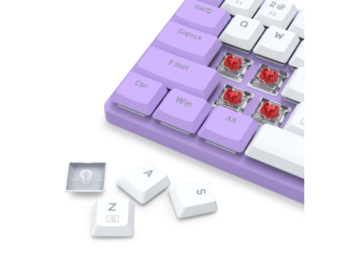 Redragon BS 8773 LI Wireless Keyboard and Mouse Combo